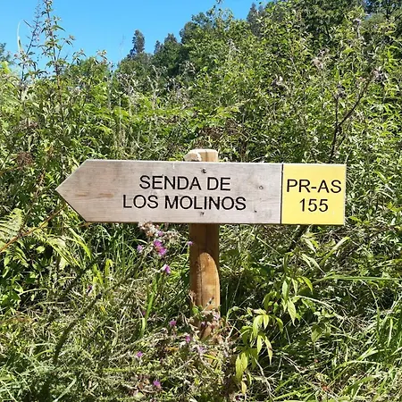 Al Alba Rural